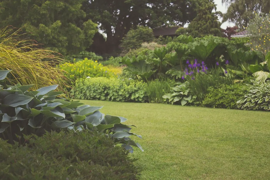 Stimmungsbild: gepflegter Garten mit Rasen, Stauden und Bäumen